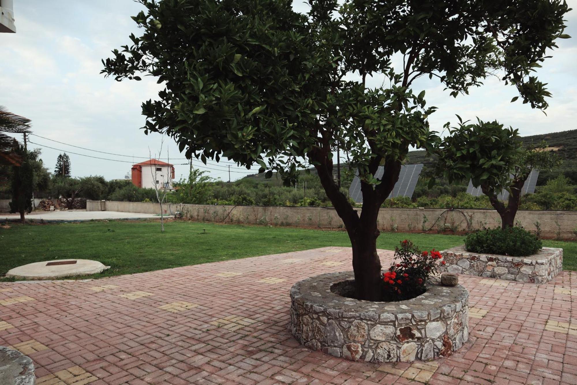 Villa Elea Apartments Spilia  Екстер'єр фото